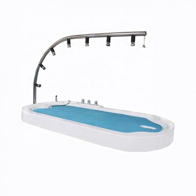 Hydrotherapy Massage SPA Acrylic Vichy Shower Bed